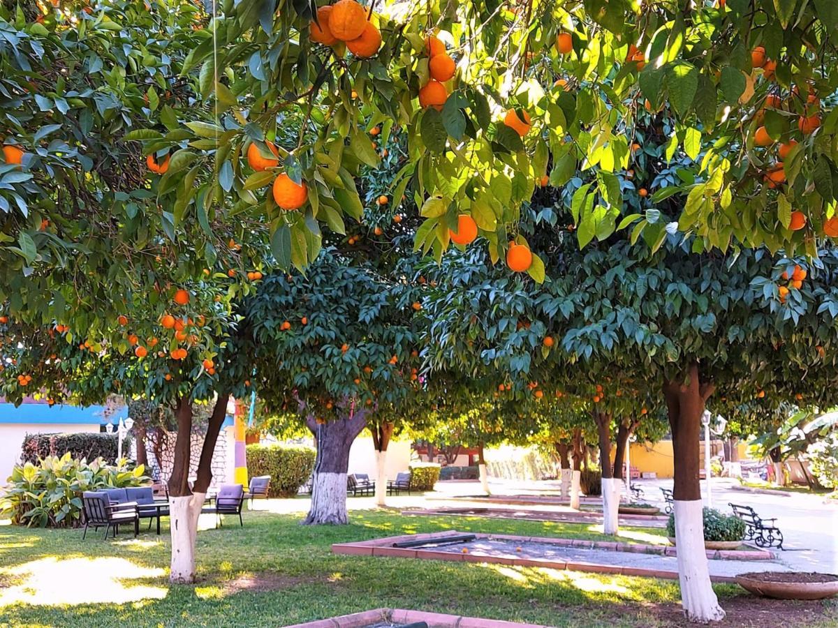 Cetinel Otel Adana Exterior photo